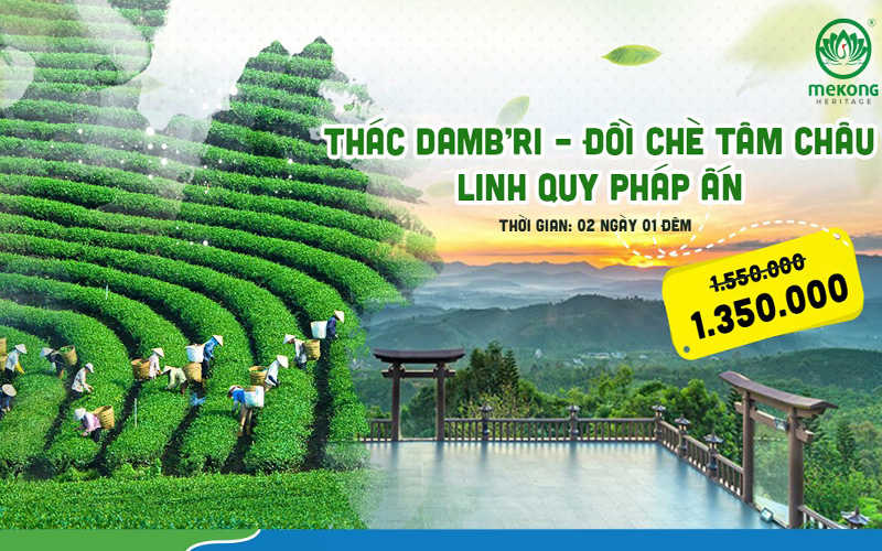 Tham quan, nghỉ dưỡng, khám phá Bảo Lộc