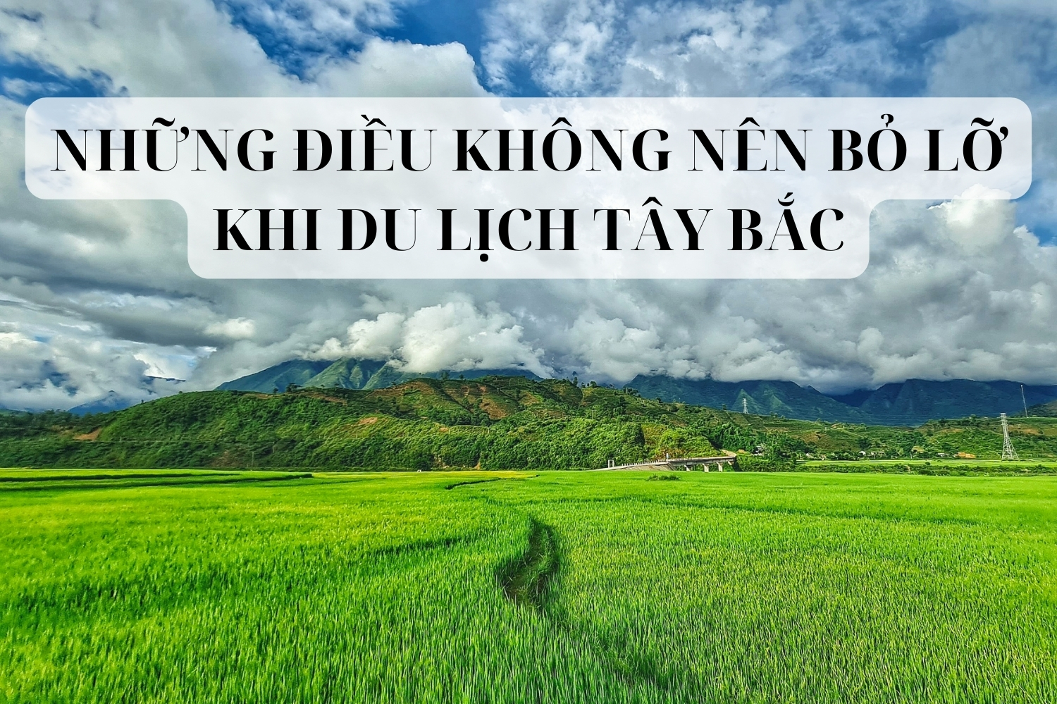 du lịch tây bắc