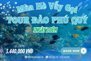 🌊 Khám phá Đảo Phú Quý – Thiên Đường Hoang Sơ Giữa Biển Xanh 3N2Đ