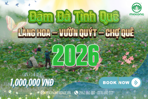 🌸 Làng Hoa – Vườn Quýt – Chợ Quê 2026 | Về Miền Tây Đón Xuân An Nhiên 🍊