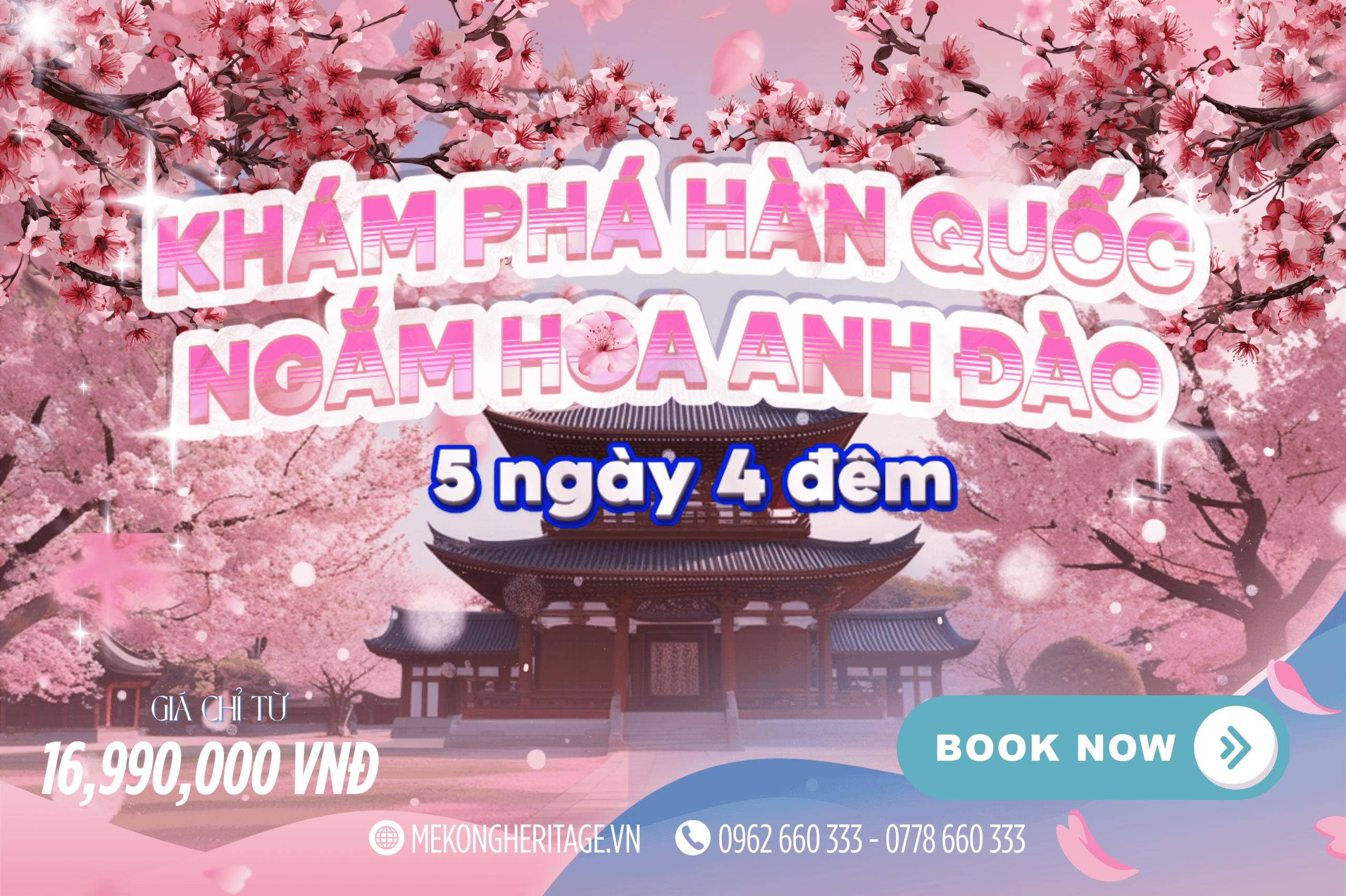 🇰🇷 Hàn Quốc 5N4Đ | Seoul – Nami – Everland – Hành Trình Hoa Anh Đào Xứ Sở Kim Chi
